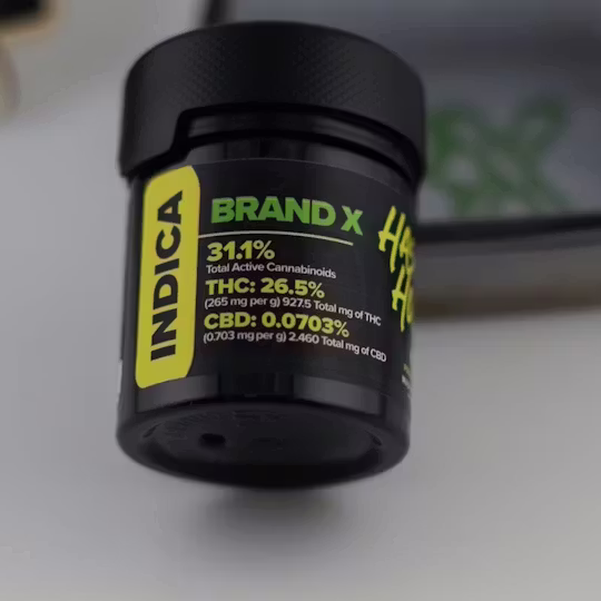 HASHTAG HONEY FLOWER