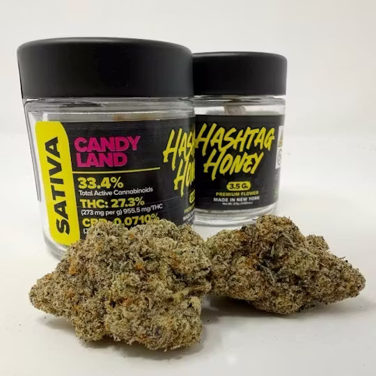 HASHTAG HONEY FLOWER