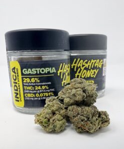 HASHTAG HONEY FLOWER