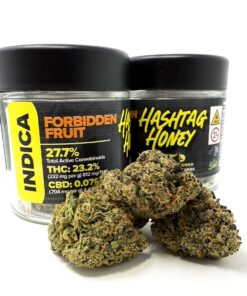 HASHTAG HONEY FLOWER