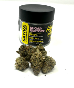 HASHTAG HONEY FLOWER