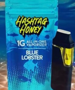 HASHTAG HONEY DISPOSABLE